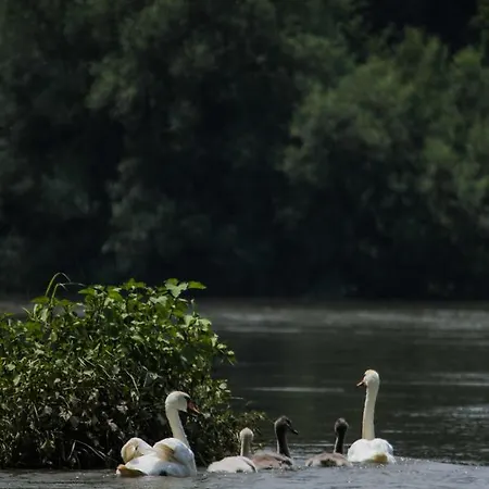 Penzion Saint Paul Kraljevo