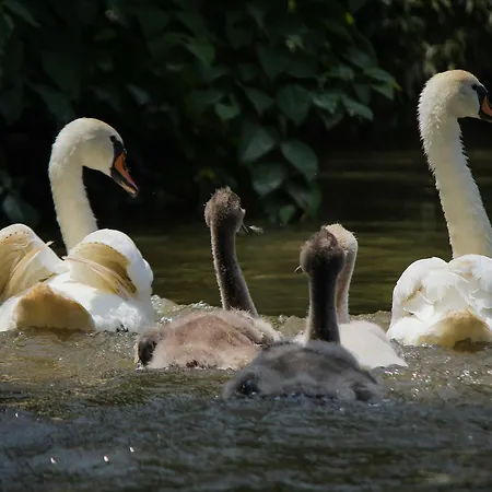 Saint Paul Penzion Kraljevo