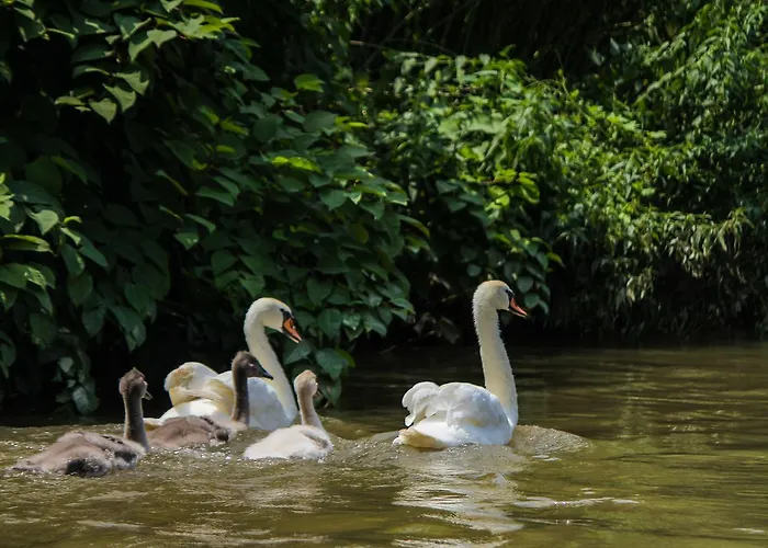 Guest house Saint Paul 4*